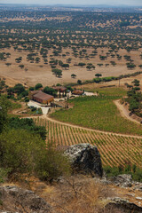 Obraz premium Panoramic view over a traditional Alentejo rural landscape, with vineyards, scattered cork oak trees, agricultural fields and a small farm surrounded by rolling countryside. Portugal's Mediterranean