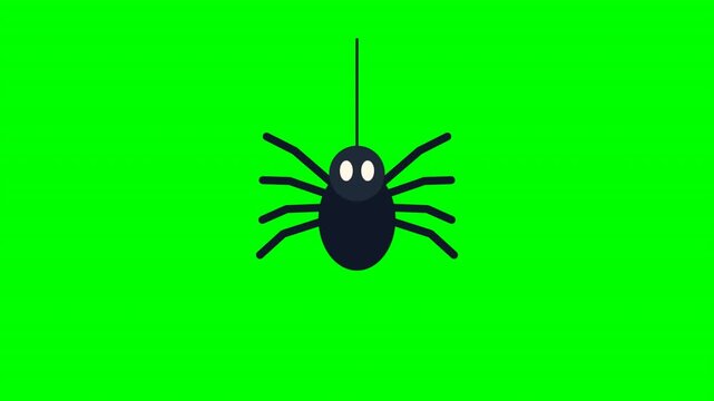 Animated cartoon spider hanging on thread on green screen background