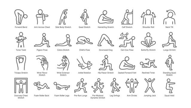 Illustrated collection of yoga and stretching exercises with transparent background for fitness guides