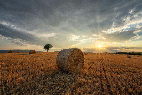 Round hay bale resting in a harvested field beneath a moody sunset sky, a classic rural agriculture scene capturing late summer, farming, harvest season and peaceful countryside atmosphere at dusk.