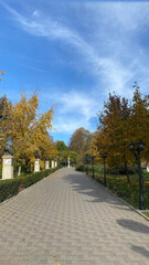 Quiet snow-covered road lined with autumn-colored trees beneath a dramatic blue sky, capturing the transition between fall and winter in a peaceful countryside scene ideal for seasonal travel themes. © UQink