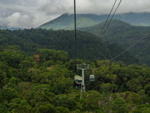 Skyrail Rainforest Cableway Offers Panoramic Views
