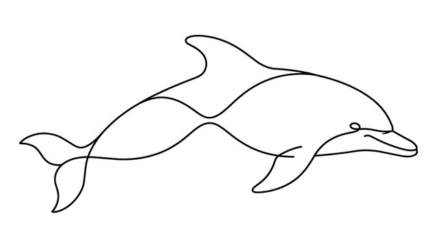 Dolphin swimming white background.