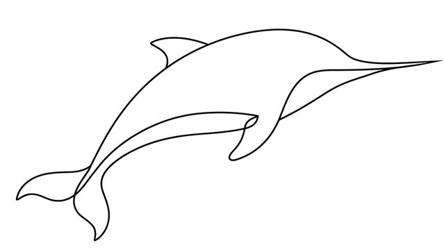 Dolphin swimming white background.