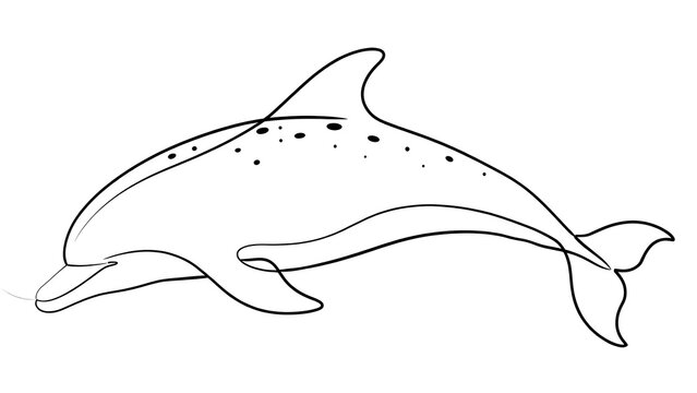 Dolphin swimming white background.