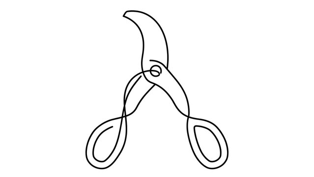Scissors white background cutting tool.