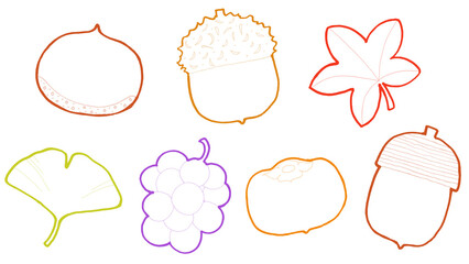 秋の木の実と果物と落ち葉の手描きカラー線画アイコンセット（くり・どんぐり・もみじ・ぶどう・柿・あしらい・背景透過 Autumn nuts, fruits, and leaves hand-drawn color line art icon set (chestnut, acorn, maple, grape, persimmon, transparent  © lily