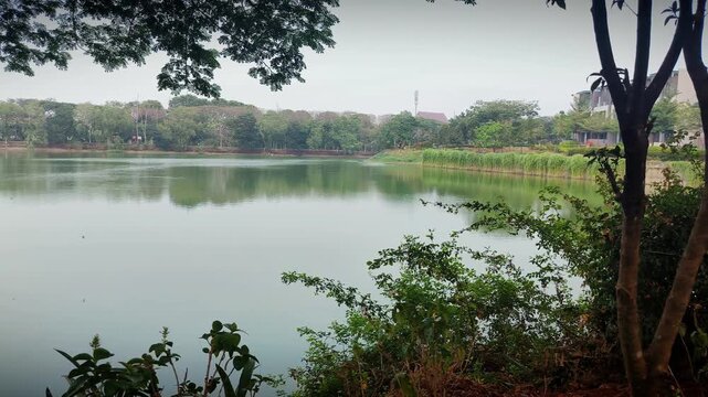 Horizontal Panning Footage Of Lake Surrounded By Lush Green Trees