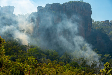 Controlled Bushfire "Cool Burn" in Kakadu National Park - Australia © Adwo
