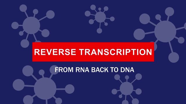 Educational motion explaining the biological process of reverse transcription, illustrating the complex conversion of rna back into dna strands for molecular biology, genetics, and medical research