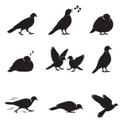Fototapeta premium Pigeon and Dove Silhouettes Showing Various Activities and Natural Poses