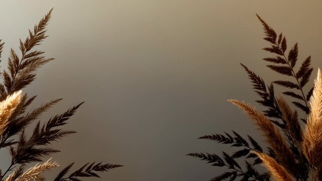 Golden pampas grass botanical frame on neutral background with dried plant, ornamental grass foliage, botanical border, natural texture, warm color, soft shadows, and copy space for minimalist design