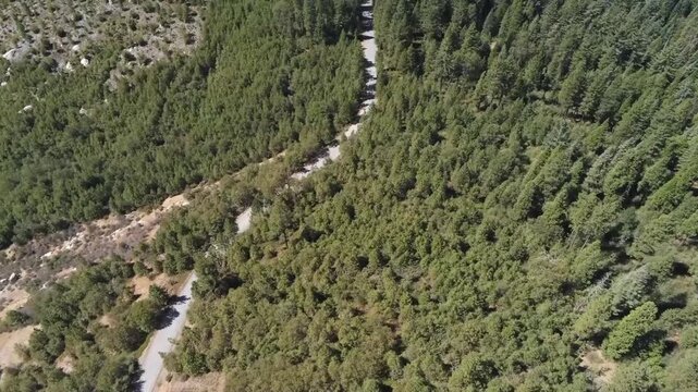 Aerial View of the Stanislaus National Forest