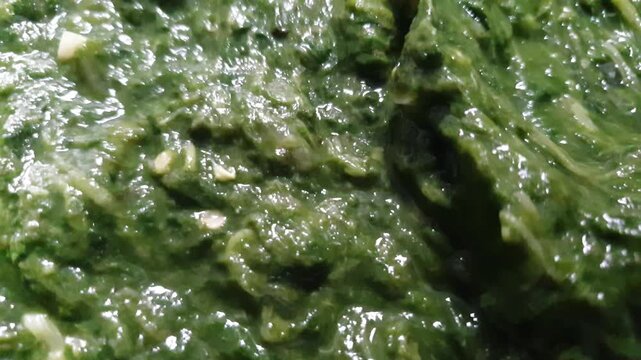 Close up shot of fresh green spinach puree or mashed cooked vegetables with garlic chunks.