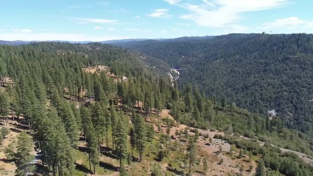 Aerial View of Road Winding Through Stanislaus National Forest