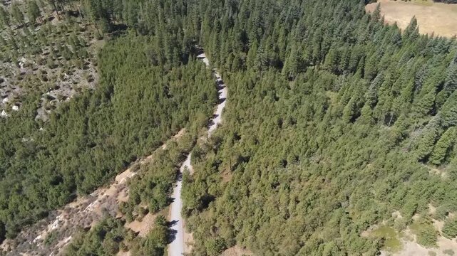 Aerial View of Road Winding Through Stanislaus National Forest
