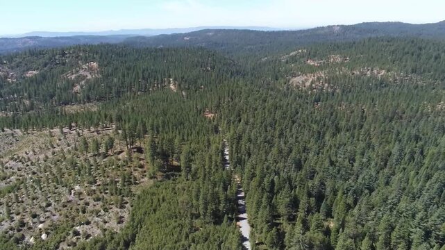 Aerial View of Road Winding Through Stanislaus National Forest
