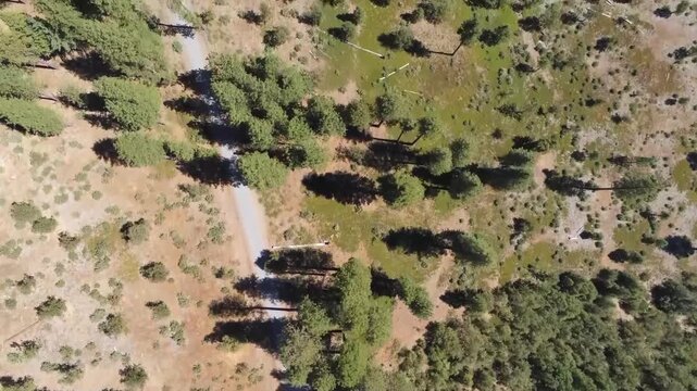Aerial View of Road Winding Through Stanislaus National Forest