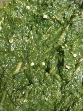 Traditional South Asian spinach puree bhorta cooked with garlic and herbs macro background