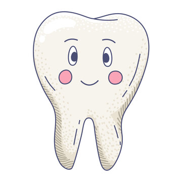 Cute cartoon healthy tooth character smiling with pink cheeks