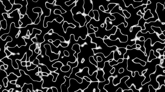 Abstract Glowing White Electric Lines on Black Background Loop