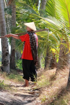 Traditional farmer carrying a hoe through a tropical coconut grove in Lombok, Indonesia.