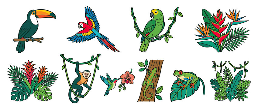 Jungle Wildlife Collection: Tropical Birds, Monkey, Lizard, Frog