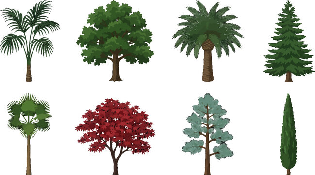 Collection of diverse tree vectors including palms pine oak cypress and maple isolated on white background flat design style illustration