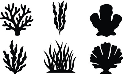 Underwater Plant and Seaweed Silhouette Vector Collection Featuring Coral, Seagrass, and Marine Foliage © MstMoslemina