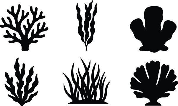 Underwater Plant and Seaweed Silhouette Vector Collection Featuring Coral, Seagrass, and Marine Foliage