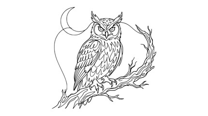 Obraz premium Detailed Line Art Owl Perched on Branch with Crescent Moon