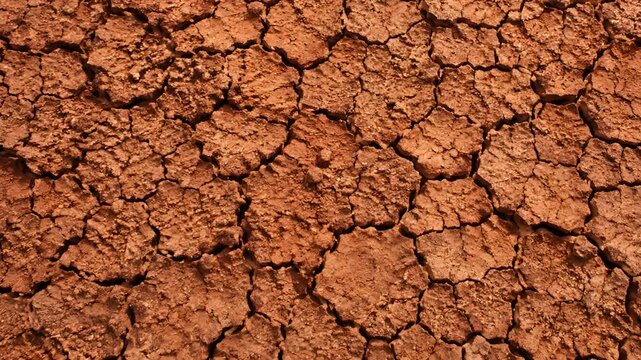 Full-frame close-up of cracked dry earth with detailed natural soil texture, illustrating drought, water scarcity, desertification, land degradation, and climate change impacts