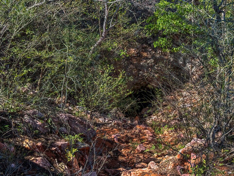 An unnamed cave entrance near Andakatamivola Cave in the Mikea Forest, Madagascar
