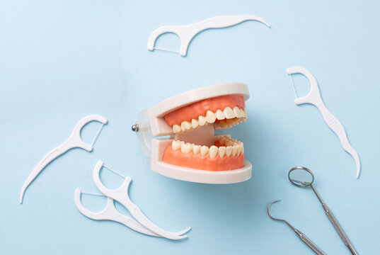 Dental Care Flat Lay with Teeth Model, Floss Picks and Dentist Tools on Blue Background