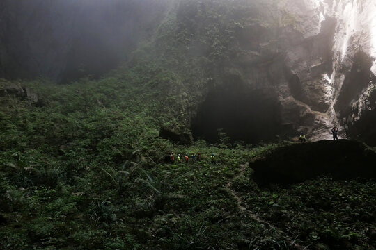 Primeval jungle ecosystem inside the giant doline of Son Doong Cave in Quang Binh, Vietnam