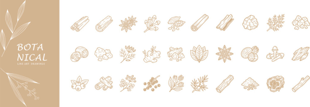 Set of spice and herb icons with hand drawn botanical food sketches for kitchen design