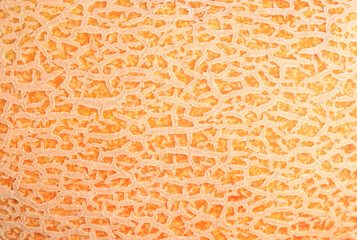 Fototapeta na wymiar Ripe cantaloup melon peel as background