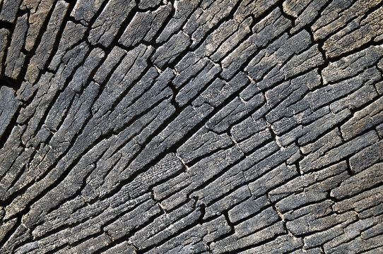 Natural burned wooden background