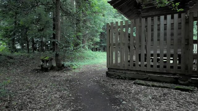 POV walking along a dark serene forest path discovering hidden mossy stone shrines with sacred ropes at Nasu Shrine, Japan