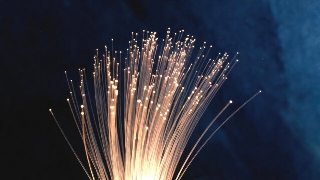 Illuminated fiber optic strands create a visual display of light against a dark background, showcasing technology and innovation in a vibrant way