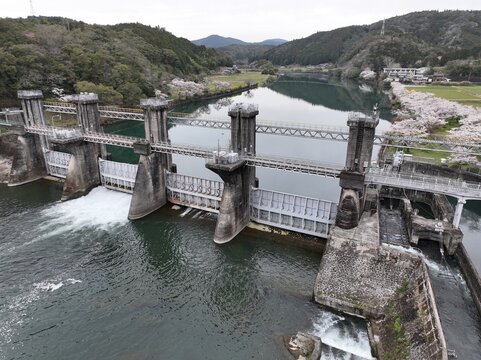 Iejigawa Intake Weir and Cherry Blossoms on the Shimanto River, Kochi, Japan