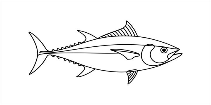 Simple line drawing of a tuna fish illustration