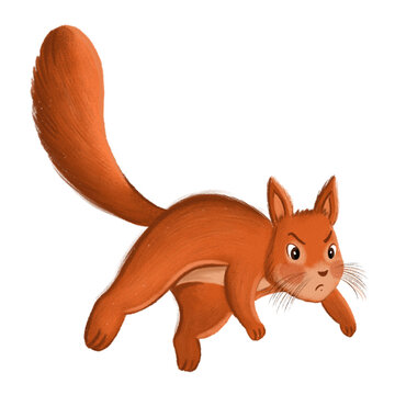 A squirrel leaping with a surprised expression 