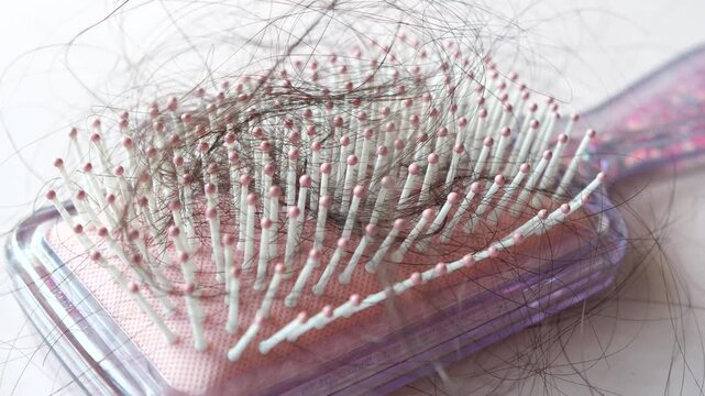 Close up of a hairbrush filled with lost hair, representing hair loss and styling problems