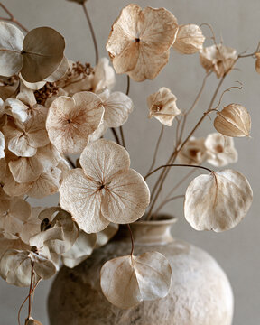 Winter arrangement of hydrangea and eucalyptus in a vase