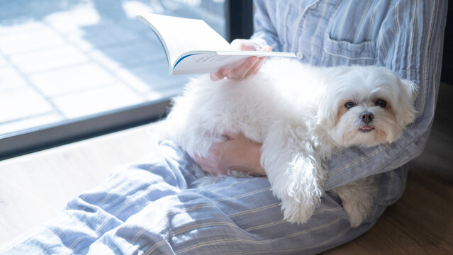 Young woman relaxing at home in striped pajamas while reading a book and cuddling a white Maltese dog by the window, showing a cozy weekend lifestyle and peaceful happiness.