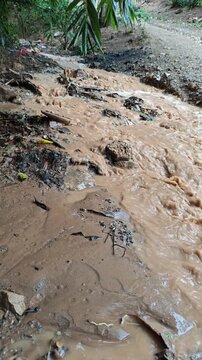 Mud and Sludge Accumulated at Edge of Dirty Water Ravine Stream