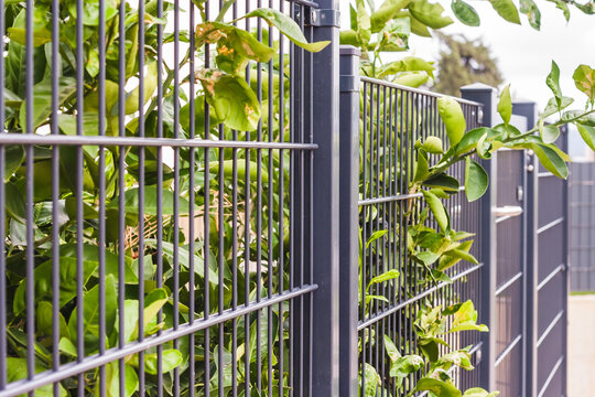 Rigid Industrial Fence Panels &ndash; Wire Grating and PVC Metal
