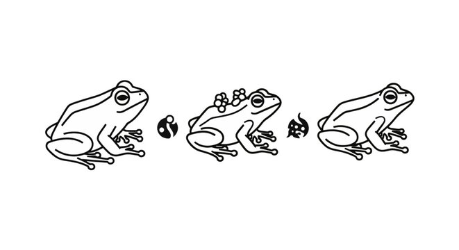Three frogs jumping in a line.