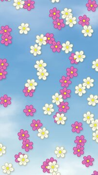 Animation of Pink and White Daisies Falling Across a Blue Sky